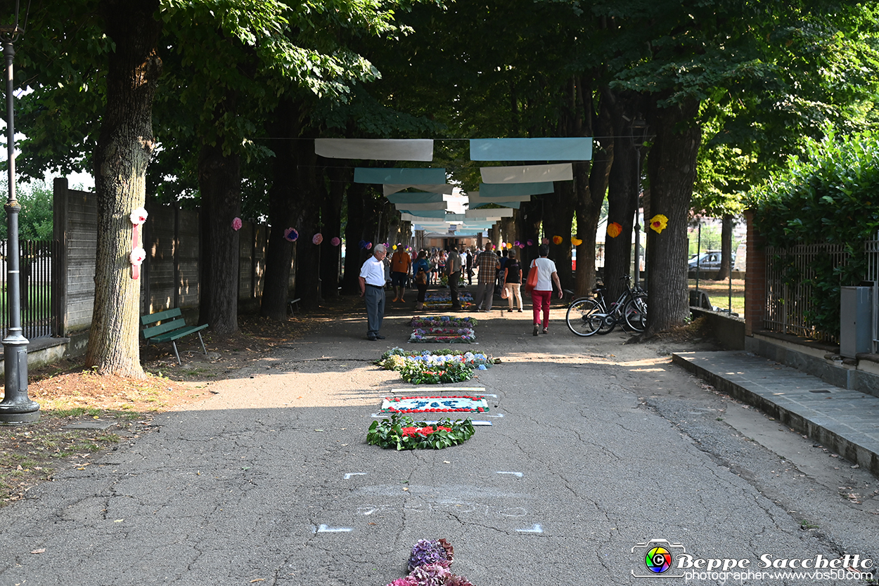 VBS_9796 - Infiorata Santuario della Madonnina di Villanova d'Asti 2024.jpg